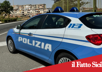 Catania . Il cane Ares fiuta la droga tra i rifiuti.