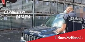 Bronte, sicurezza sul lavoro : denunciato un imprenditore
