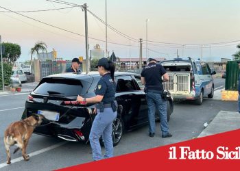 S.M.di Licodia. Operazione “Alto Impatto”, blitz nei locali e posti di blocco