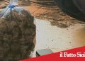 Catania. Blitz antidroga a Nesima e Monte Po’.