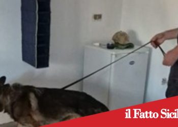 Biancavilla. Blitz antidroga in casa: arrestati due fratelli