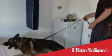 Biancavilla. Blitz antidroga in casa: arrestati due fratelli