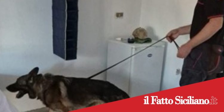 Biancavilla. Blitz antidroga in casa: arrestati due fratelli