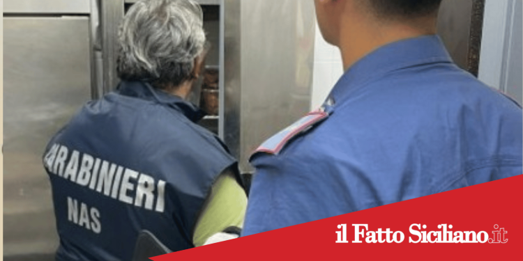 Bronte. Sicurezza alimentare: emerse irregolarità
