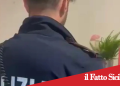 Catania. Spacciava davanti casa. Arrestato