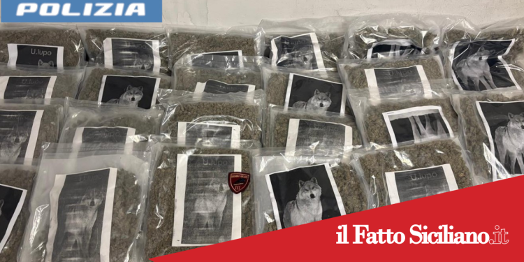 Catania. Sequestrati 20 kg di marijuana in un luogo di Vaccarizzo