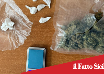 Catania. Scoperto nascondiglio di droga grazie all’app Youpol
