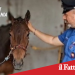 Belpasso. Scoperta officina fantasma e un cavallo senza microchip .Denunciato.