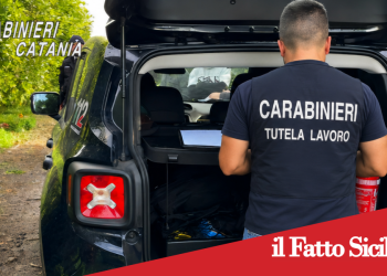 Prov.Catania. Caporalato e lavoro in nero.1 Denunciato