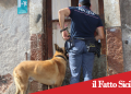 Catania . Sorpreso con droga e bomba carta in casa .