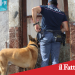 Catania . Sorpreso con droga e bomba carta in casa .