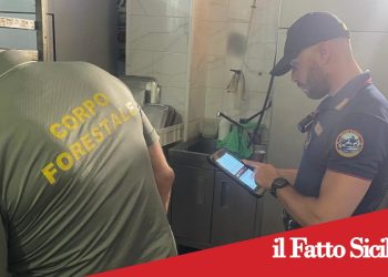 Misterbianco . In un panificio lavoratori in nero e cibo non tracciato