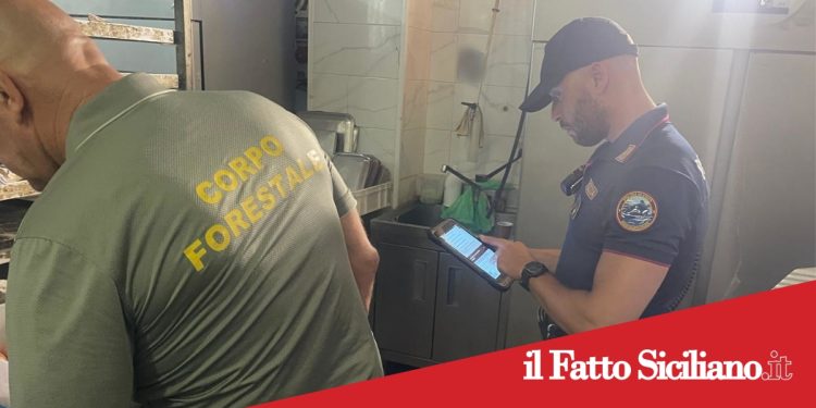 Misterbianco . In un panificio lavoratori in nero e cibo non tracciato