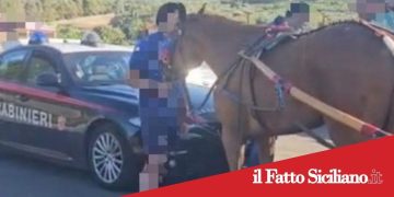 Paternò.Bloccata corsa clandestina di cavalli