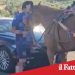 Paternò.Bloccata corsa clandestina di cavalli