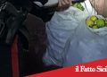 Acireale. Arrestati tre paternesi per furto di limoni. Spari e fuga tra gli agrumeti