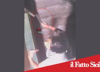 Motta S.Anastasia. Arrestata una donna per tentato omicidio