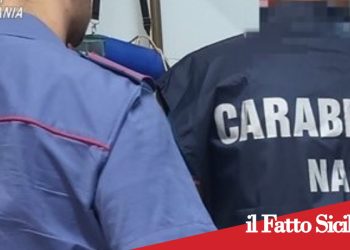 Piedimonte etneo: gravi irregolarità in una pasticceria in centro