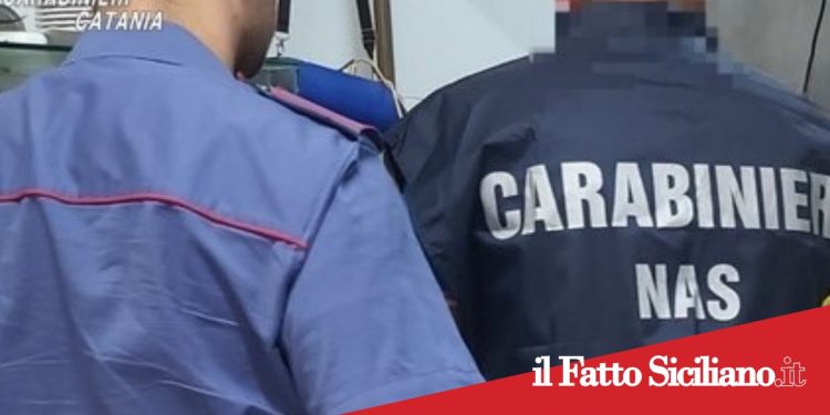 Piedimonte etneo: gravi irregolarità in una pasticceria in centro