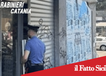 Catania. Prima il furto poi sferra un pugno al titolare: arrestato 29enne