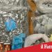 Catania. Nascondeva 5 kg di droga nel soggiorno. Arrestato 21enne