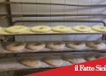 Paternò, panificio abusivo: multe severe e chiusura dei locali
