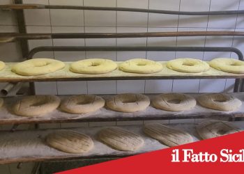 Paternò, panificio abusivo: multe severe e chiusura dei locali