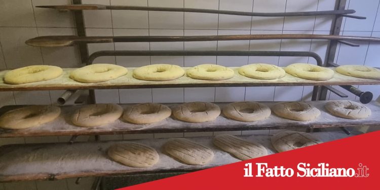 Paternò, panificio abusivo: multe severe e chiusura dei locali