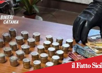 Prov.di Catania.Maxi  sequestro in  un casolare: 2 arresti