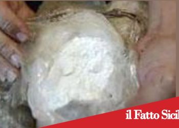 Trapani. Sequestrati oltre 4 chili di droga: arrestata donna con cocaina ed eroina nell’auto