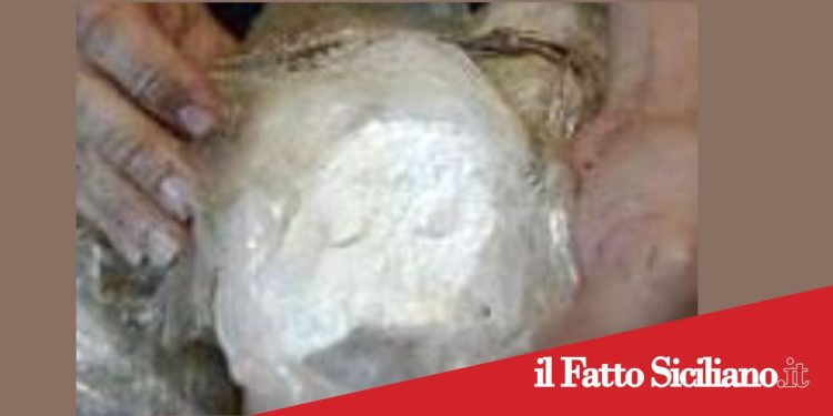 Trapani. Sequestrati oltre 4 chili di droga: arrestata donna con cocaina ed eroina nell’auto