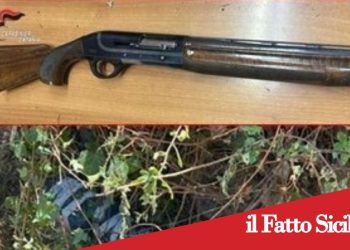 S.G.La Punta. Scoperto fucile a canne mozze nascosto tra la legna