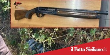 S.G.La Punta. Scoperto fucile a canne mozze nascosto tra la legna