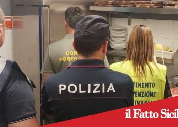 Catania. Prodotti non tracciati e blatte nelle cucine.Sospese 2 attività