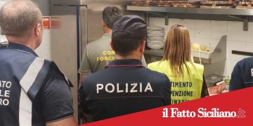 Catania. Prodotti non tracciati e blatte nelle cucine.Sospese 2 attività