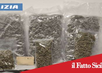 Catania. Droga nascosta in lavatrice
