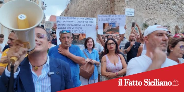 Sciacca. In centinaia a chiedere giustizia per i quattro cuccioli morti sotto il sole
