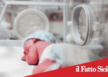 Sicilia. Salvato dai medici neonato affetto da gravissime malformazioni congenite