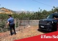 Bronte. Cerca di rubare pistacchio da un terreno agricolo