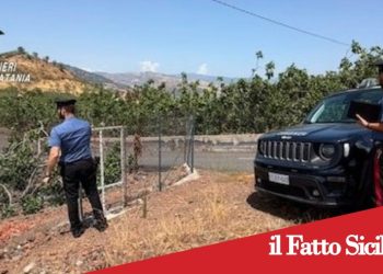 Bronte. Cerca di rubare pistacchio da un terreno agricolo
