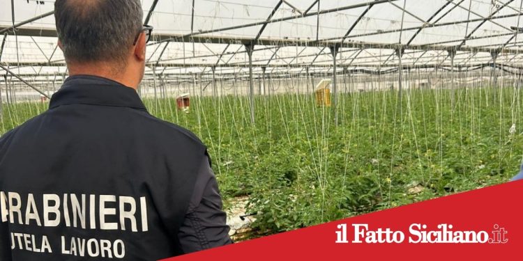 Enna. Caporalato: 4 arresti