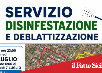 Biancavilla. Al via il servizio di disinfestazione e deblattizzazione