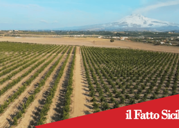 Catania. Furti e danneggiamenti nella piana di Catania