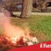 Catania. Appicca il fuoco nel giardino pubblico della fontana di Proserpina
