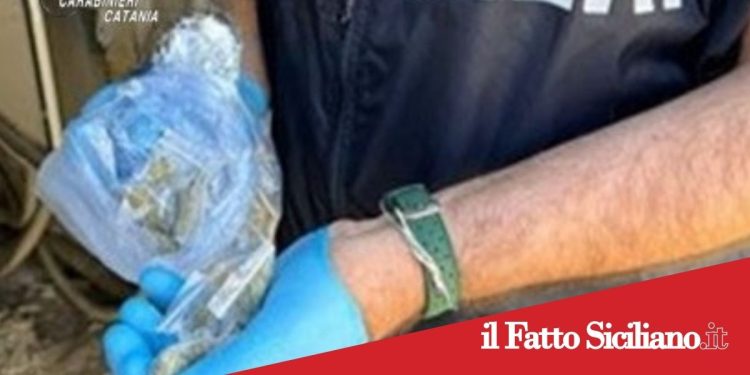 Paternò.Controlli antidroga:denunciato 23enne