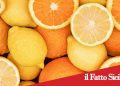 Acireale. Arrestato ladro seriale di limoni e arance