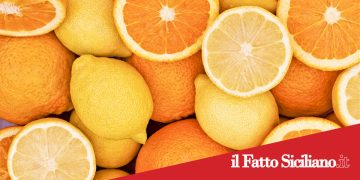 Acireale. Arrestato ladro seriale di limoni e arance