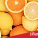 Acireale. Arrestato ladro seriale di limoni e arance