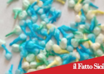 Catania. “Drive-in “della droga gestito da un 17enne. Arrestato