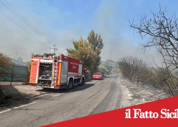 Emergenza incendi: 39 interventi dei Vigili del Fuoco in dieci ore a Catania e provincia